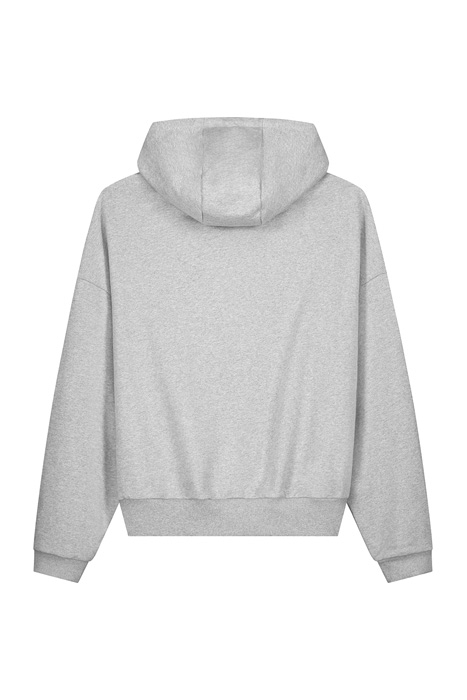 GREY ECAR HOODY 5