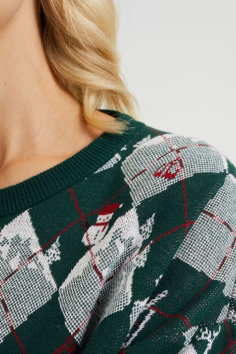 KNITTED PULLOVER GREEN 6