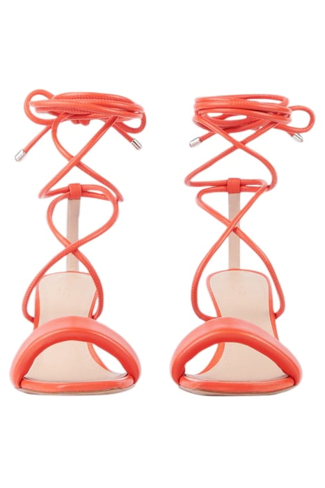 PADDY ITEM IN PINK 5