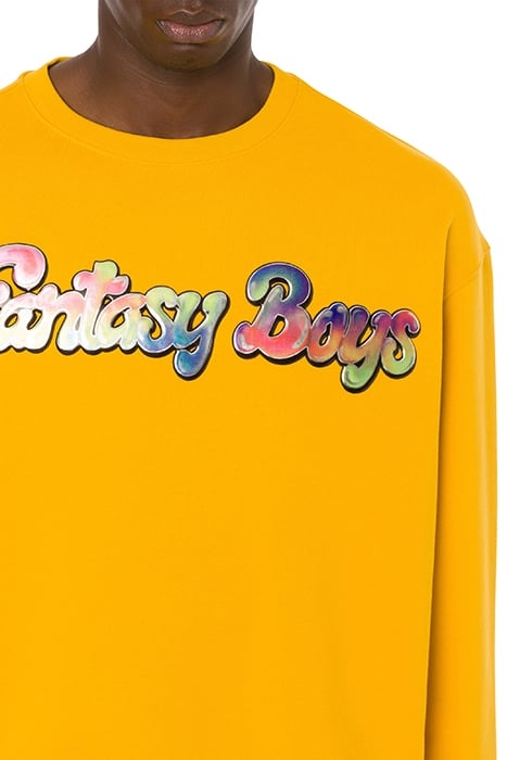 FANTASY BOYS ORGANIC COTTON SWEATSHIRT YELLOW 4