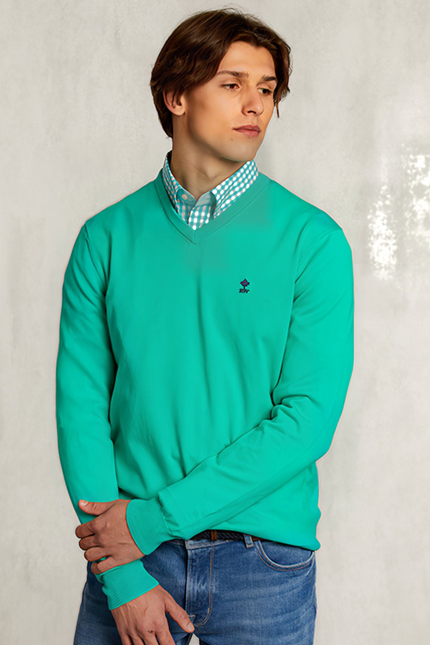 NORMAL FIT BASIC COTTON V-NECK PULLOVER MOSCOW MULE GREEN 1