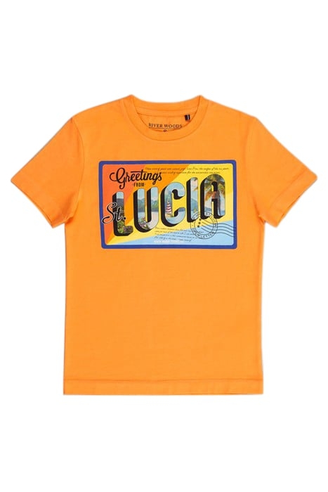 NORMAL FIT T-SHIRT IN SUNRISE ORANGE 1