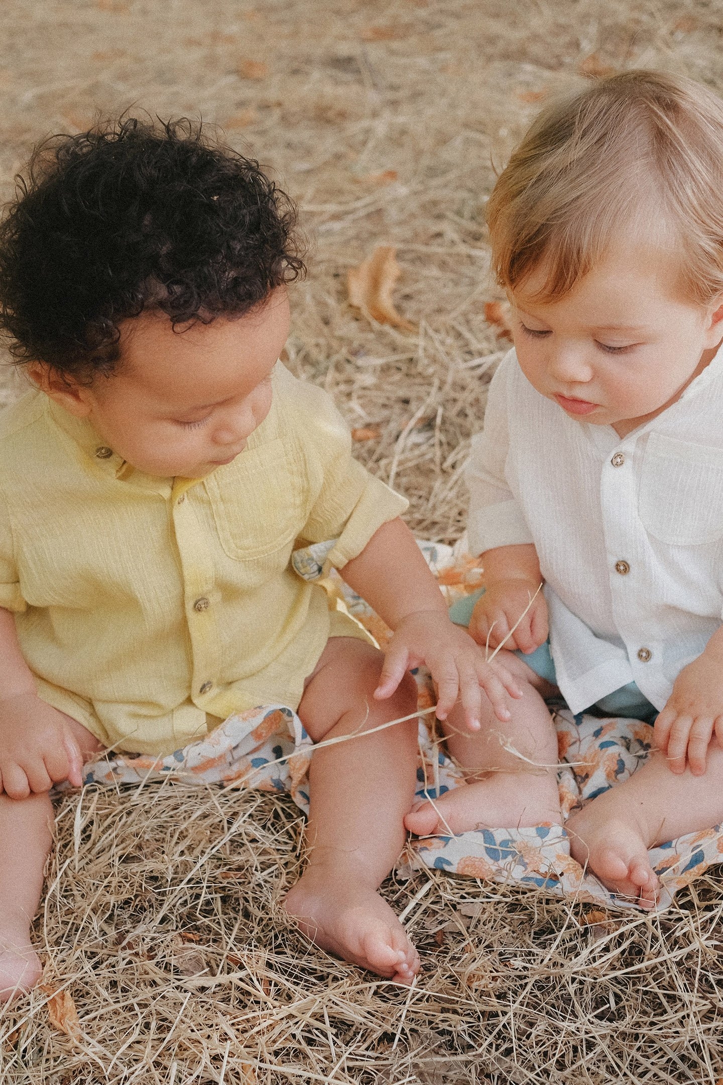 SHIRT AMOD SOFT HONEY 4