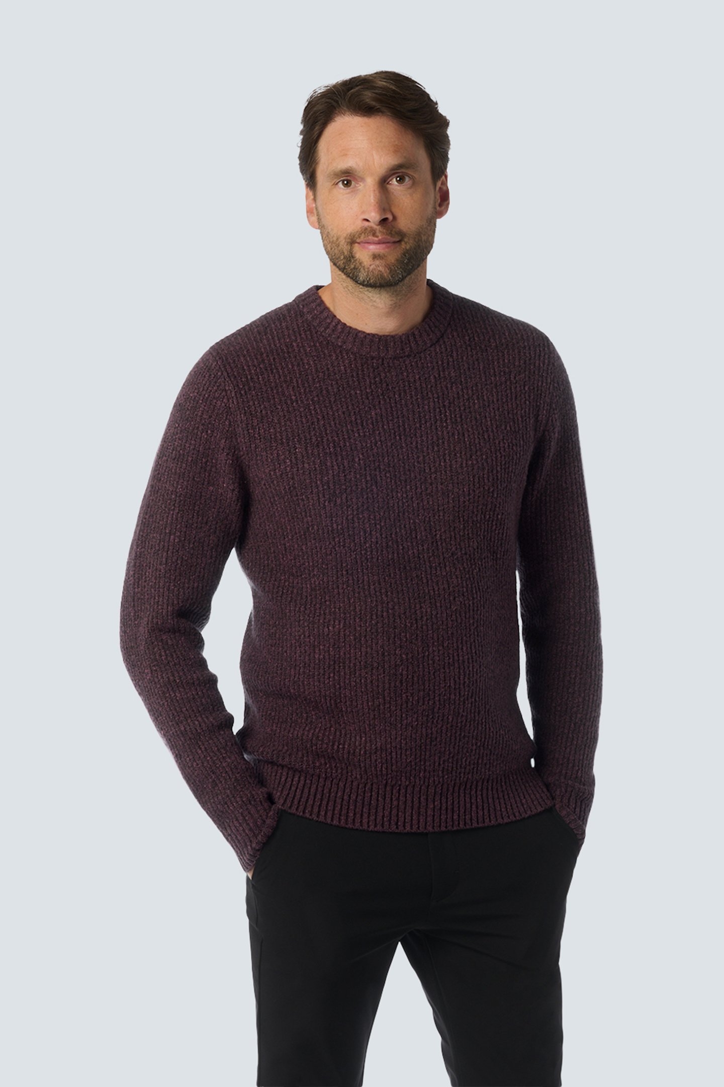 PULLOVER CREWNECK 2 COLOURED SOFT STRETCH AUBERGINE 1