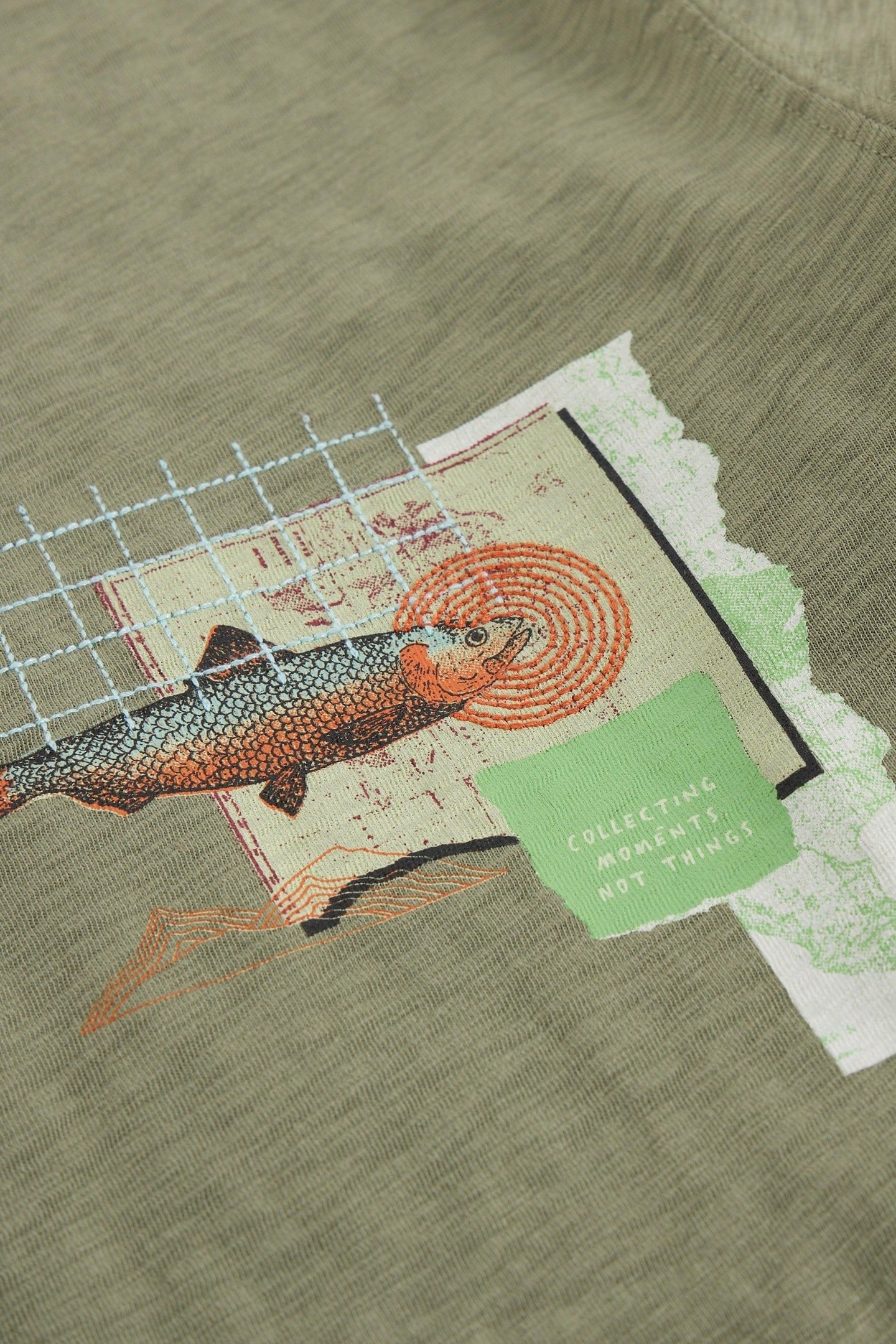 ABERSOCH GRAPHIC MAP FISH GREEN PRINT 6