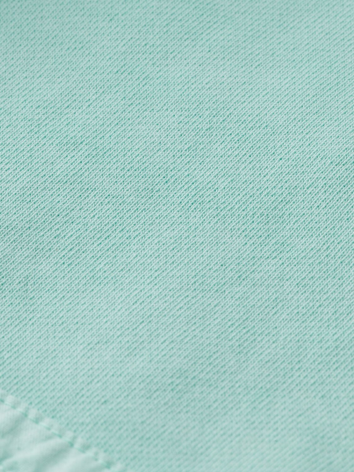 GARMENT-DYED SWEAT SHORT IN ORGANIC COTTON MINT 3