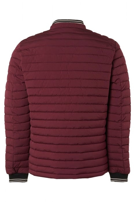 JACKET SHORT FIT PADDED DARK RED 5