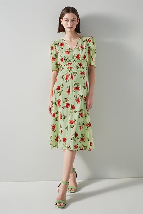 DR GABBI - GIANT POPPY GREEN 4