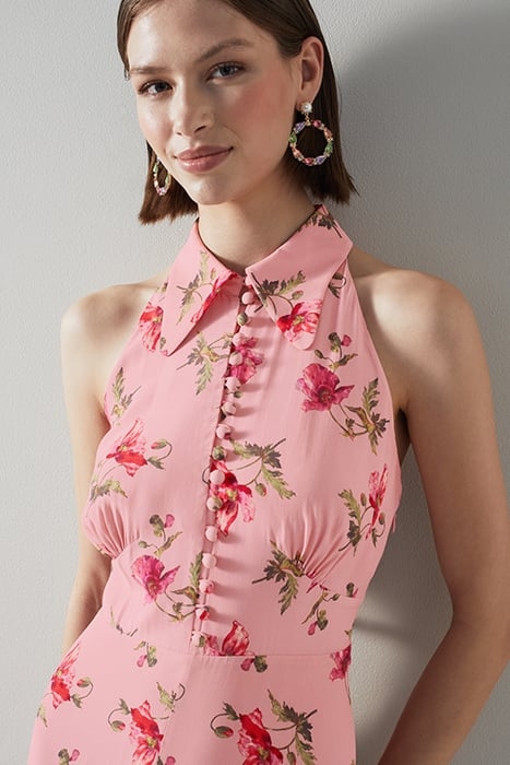 DR FLORI - GIANT POPPY PR MULTI 5