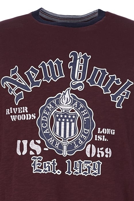 CUSTOM FIT ROUND NECK T-SHIRT IN RED RED 2