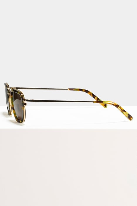 RINGO-CHAMELEON-SUN 3