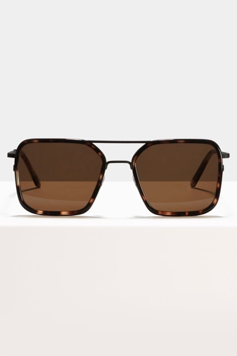 SEAN-SUGAR-MAN-SUN 1