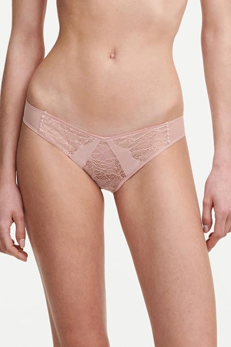 CO BO. BRIEF STD STD W. SPARK-ENGLISH ROSE 1