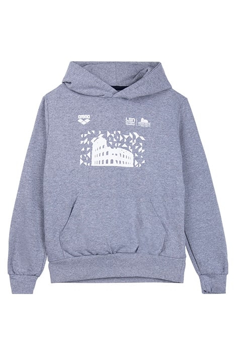 JR HOODIE ESCH ROME 22 MERCH GREY MELANGE 1