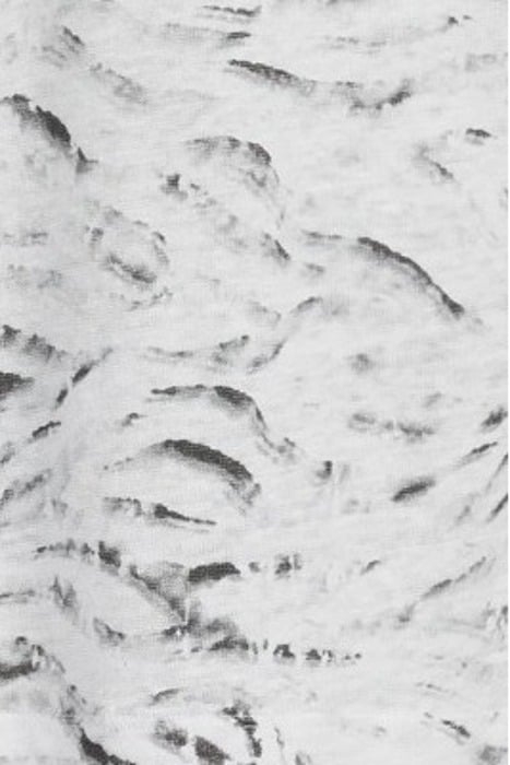 WARDS SS WATERCOLOR ZEBRA PRINT LINEN CR WHITE 5