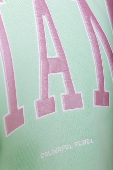 MIAMI PATCH CROPPED SWEAT NEON LIME 5