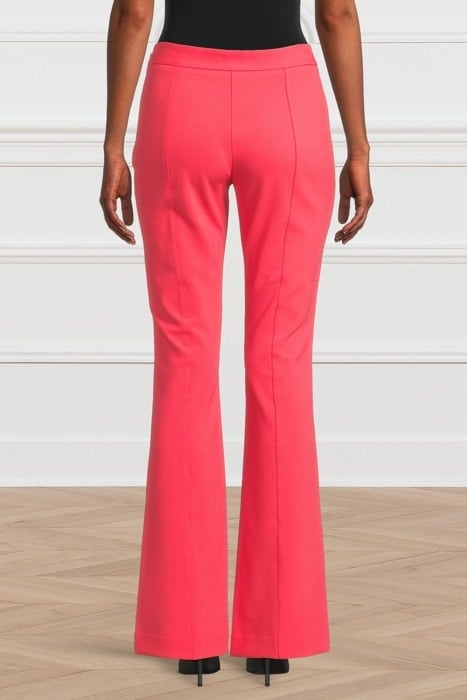THE NEW CHLOE PANT CITRUS PARADISI 2