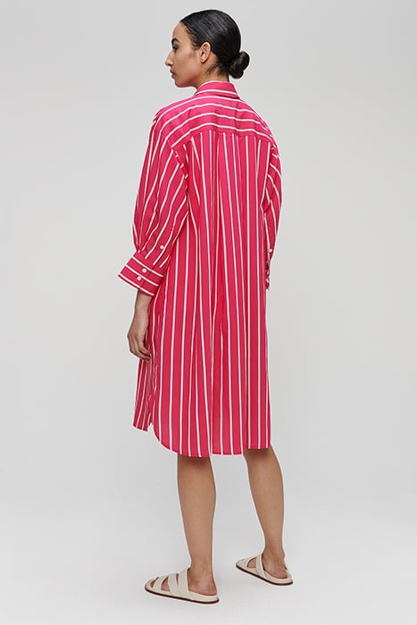 STRIPED SHIRT DRESS MID CARMINE ROSE 5