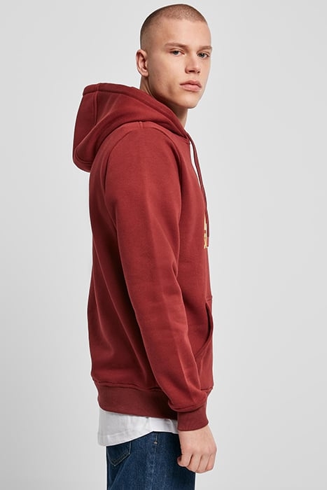 STARTER THE CLASSIC LOGO HOODY PORT 7