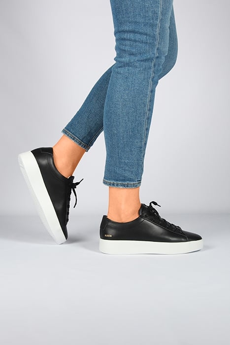 MAYNARD - BL470 BLACK - SNEAKER (LOW) BLACK 2