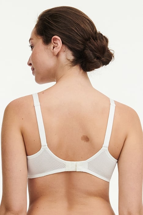 FLEURS MULTICOLORE 2