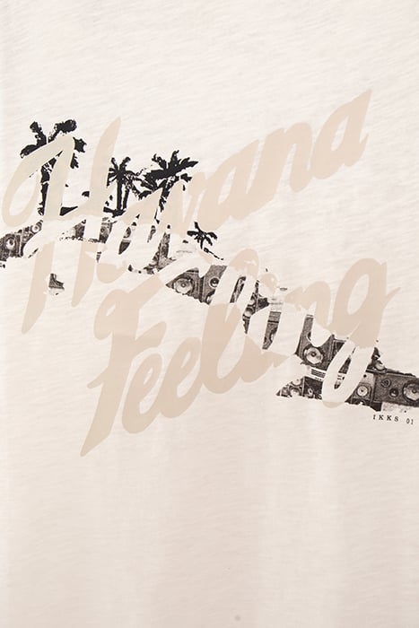 GESSO ORGANIC COTTON T-SHIRT WITH PALM TREE IMAGE 6
