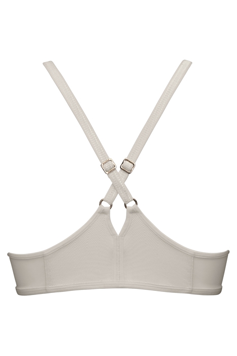 THE MAURITSHUIS IVORY 4