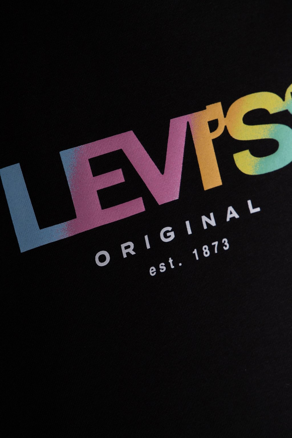 THE PERFECT TEE GRADIENT SSNL LOGO 4