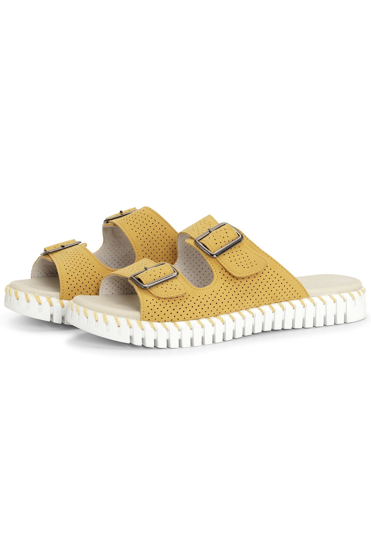 TULIP1176LC GOLDEN ROD 2