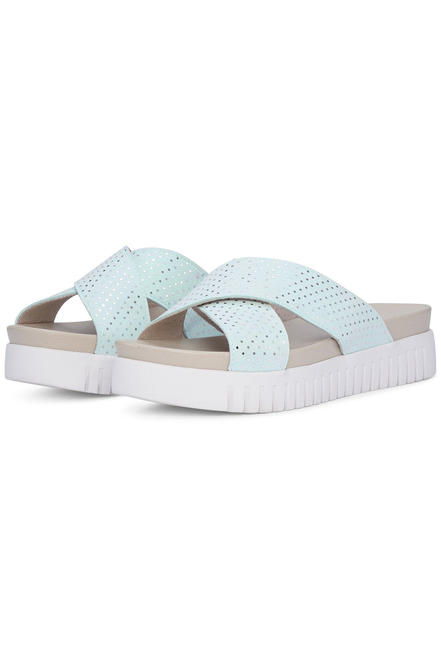 TULIP1475 WHITE BLUE 2