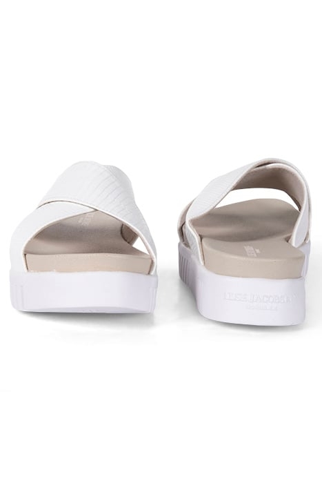 TULIP1465RE WHITE SUGAR 2