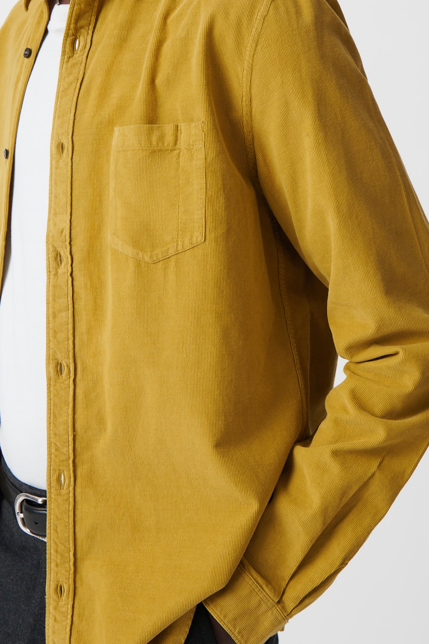 SHIRT REGULAR LICHEN VELVET MILLERAIES 7