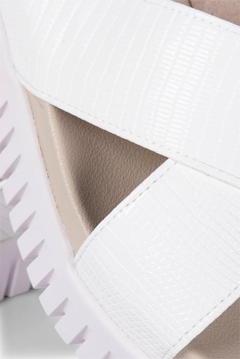 TULIP1465RE WHITE SUGAR 4