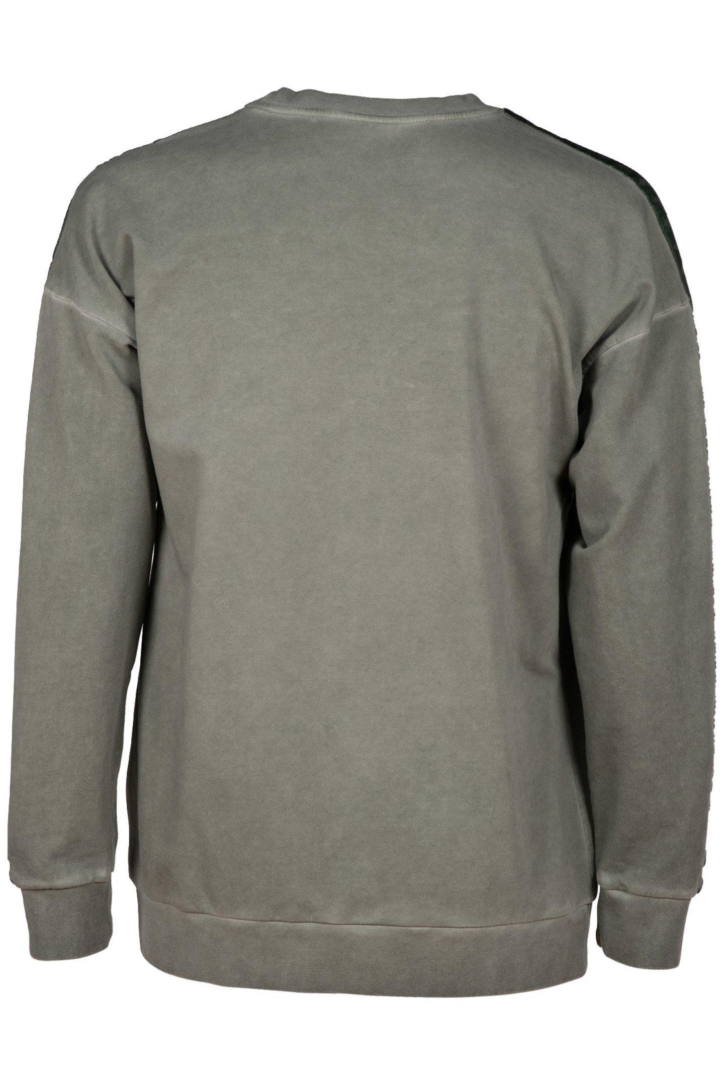 ARENA ICONS SWEAT OVERSIZE SAGE DELAVE 7