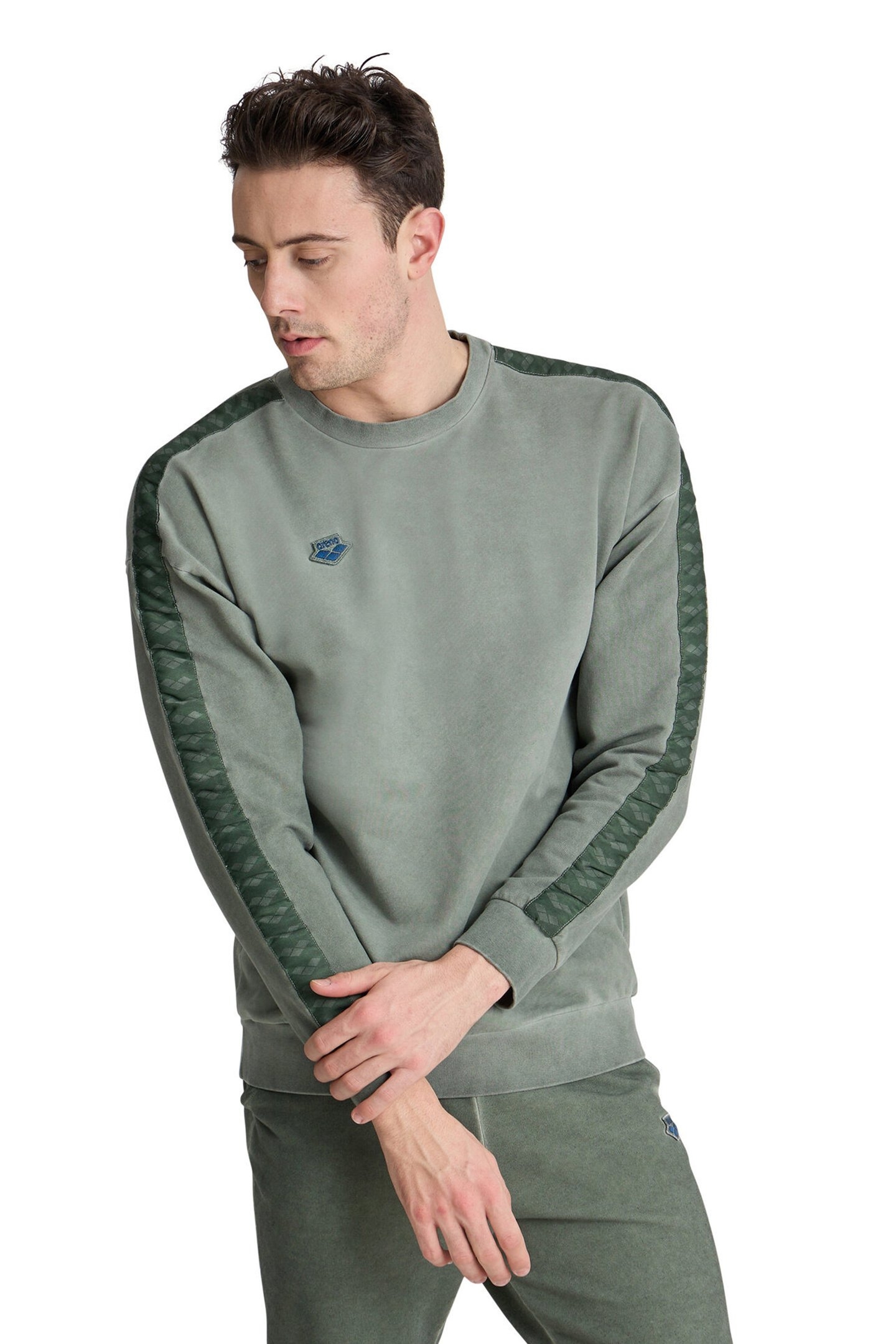ARENA ICONS SWEAT OVERSIZE SAGE DELAVE 1