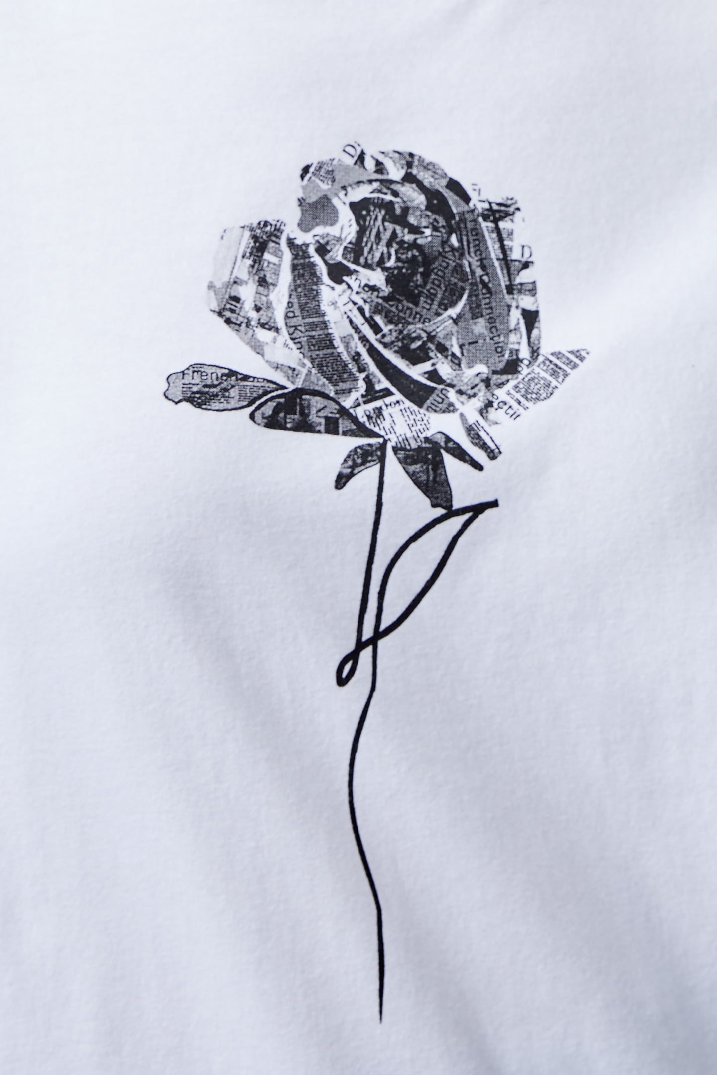 1OSE LOGO PEACHED GRAPHIC TEE LINEN WHITE 4