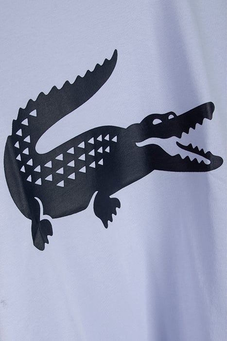 CHILDREN T-SHIRT PHOENIX BLUE 3