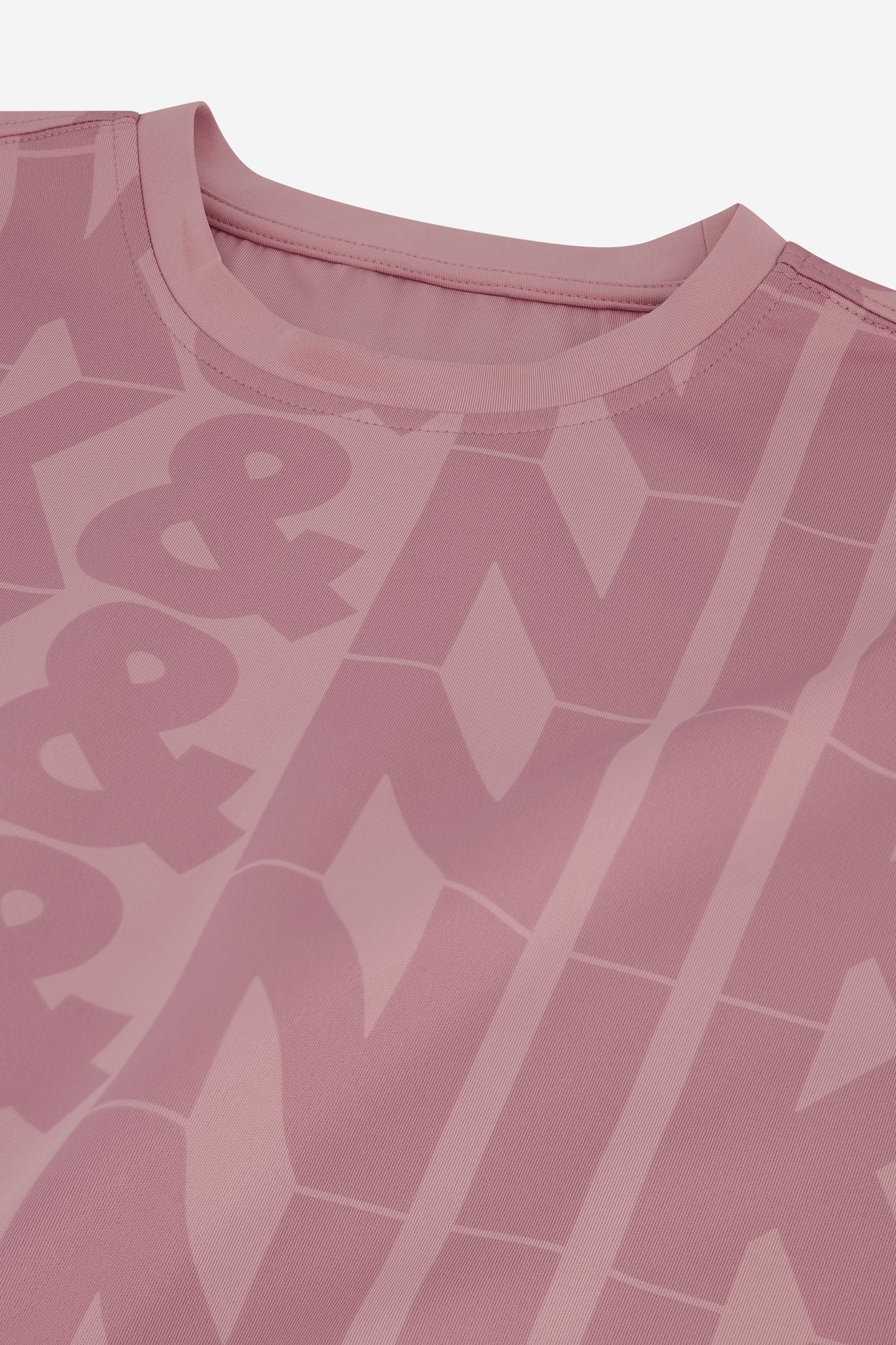 BIG LOGO T-SHIRT MISTY ROSE 3