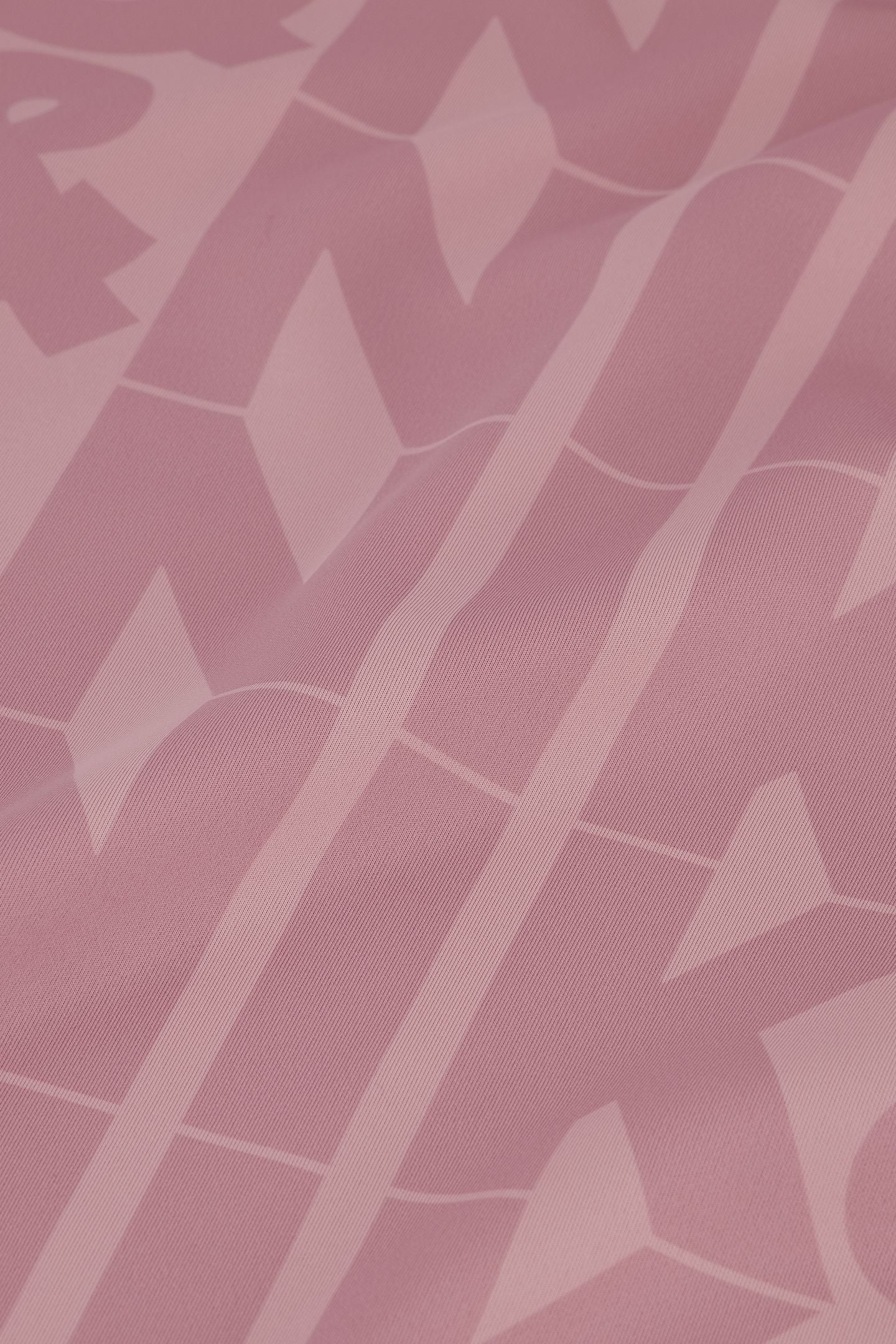 BIG LOGO T-SHIRT MISTY ROSE 4