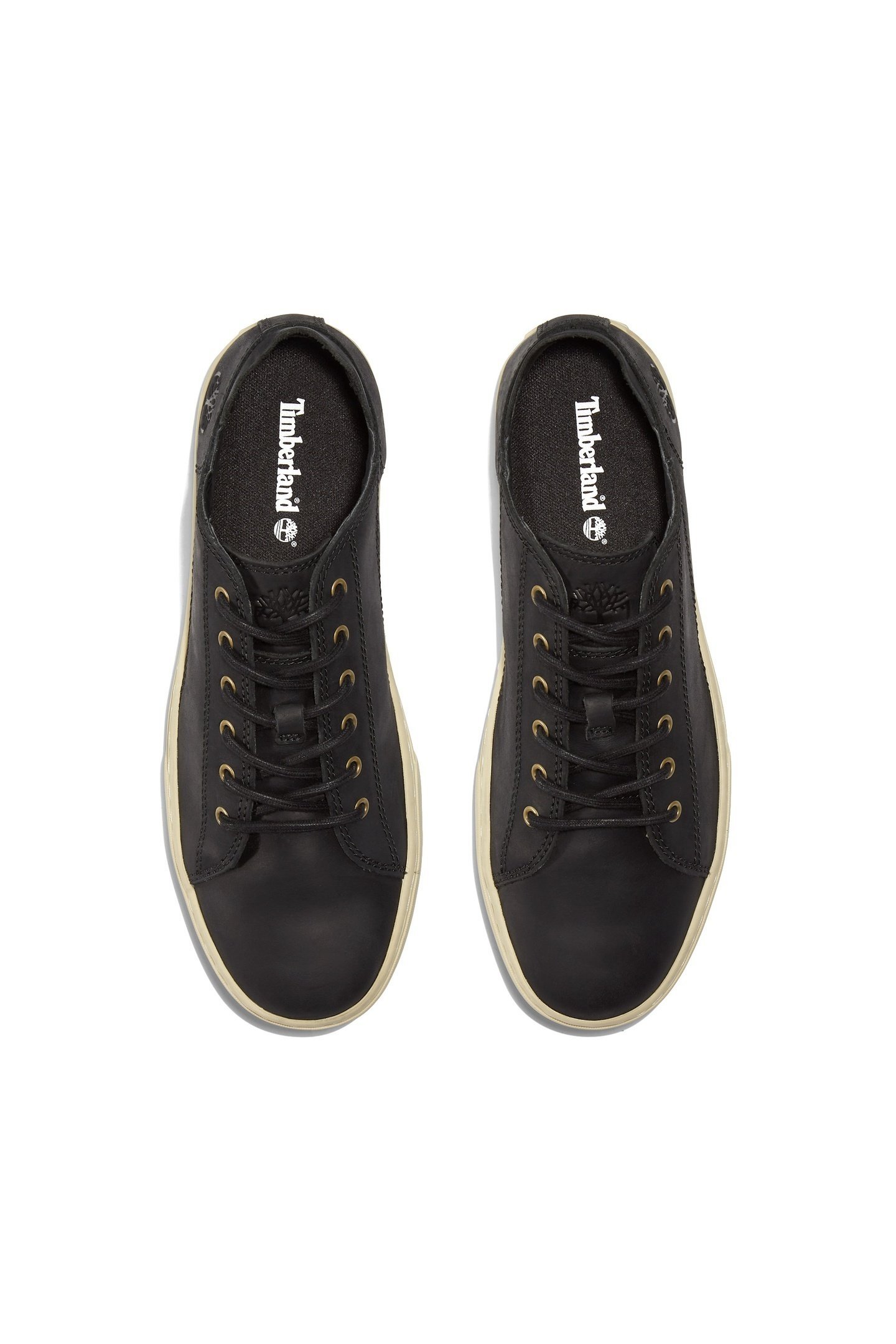 ADVENTURE 2.0 LOW LACE UP SNEAKER JET BLACK 8