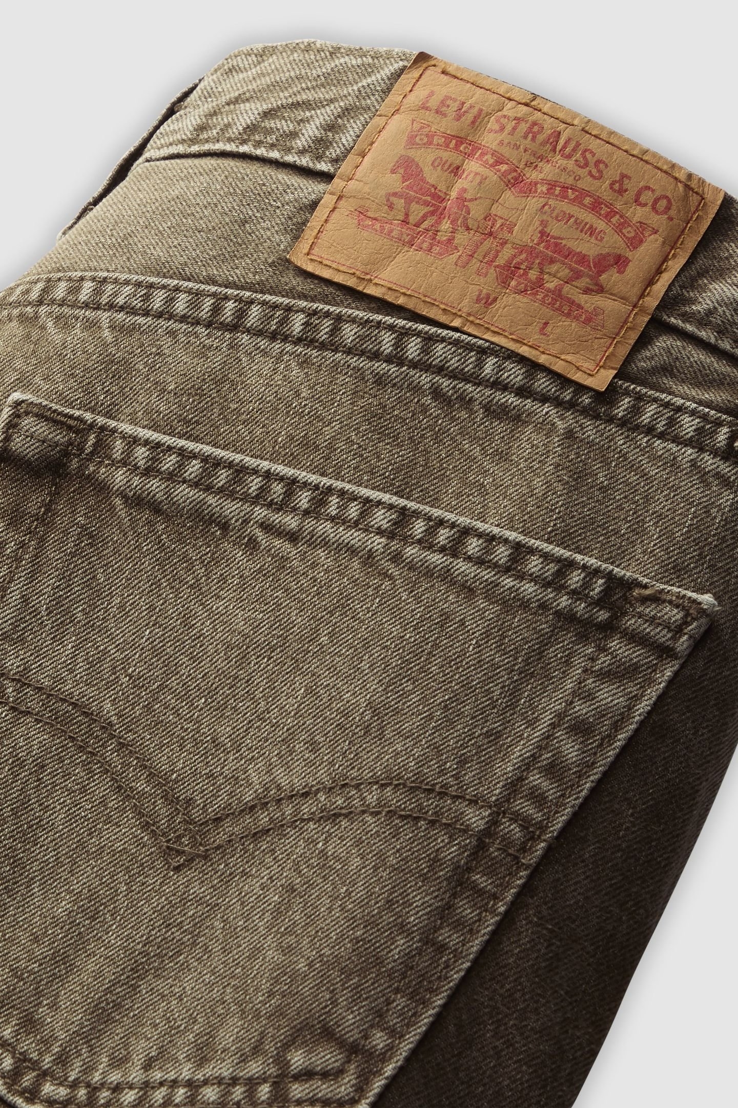 555 RELAXED STRAIGHT BEECH TREE 7