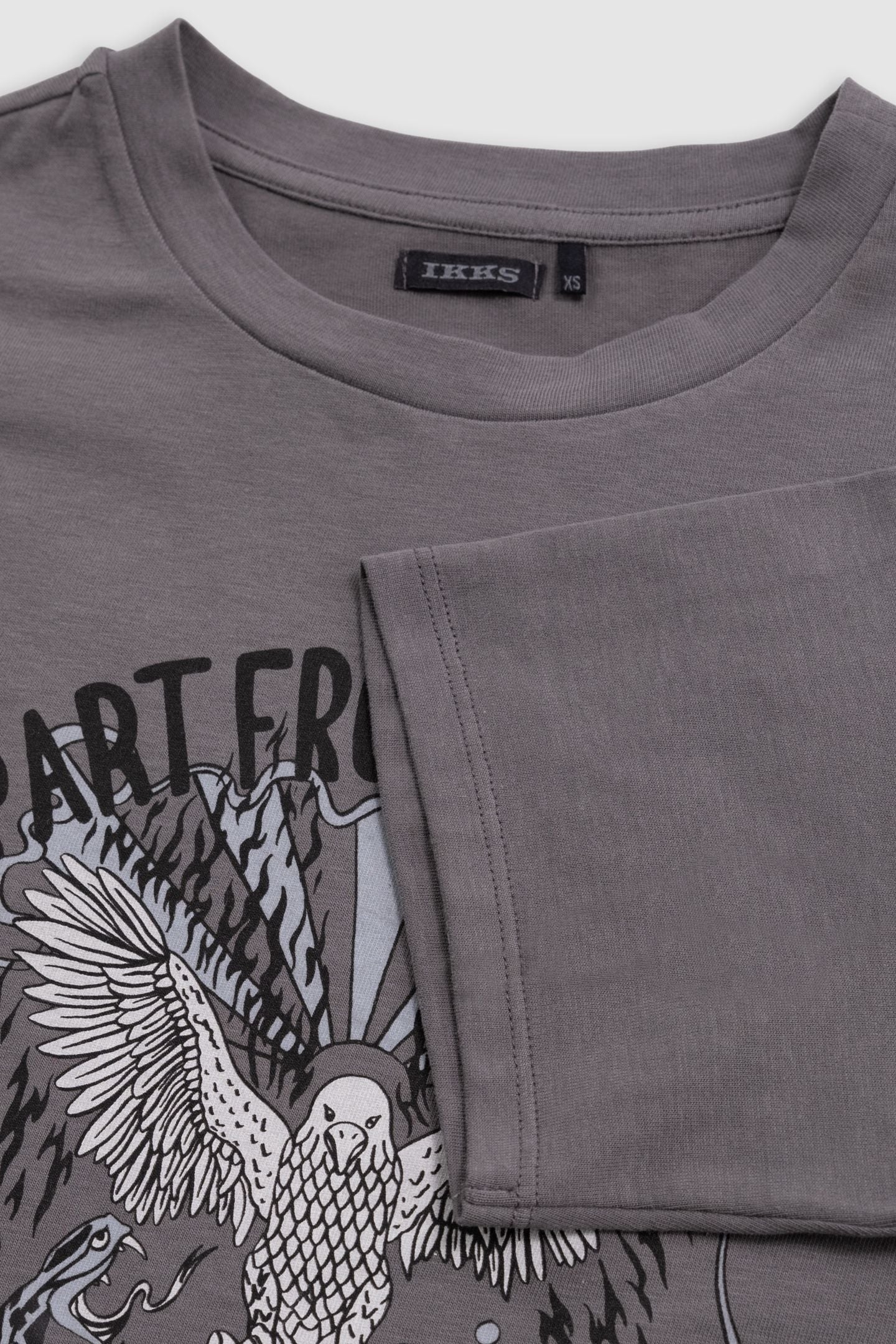 GIRL'S VISUAL EAGLE T-SHIRT IN GREY ORGANIC COTTON 6