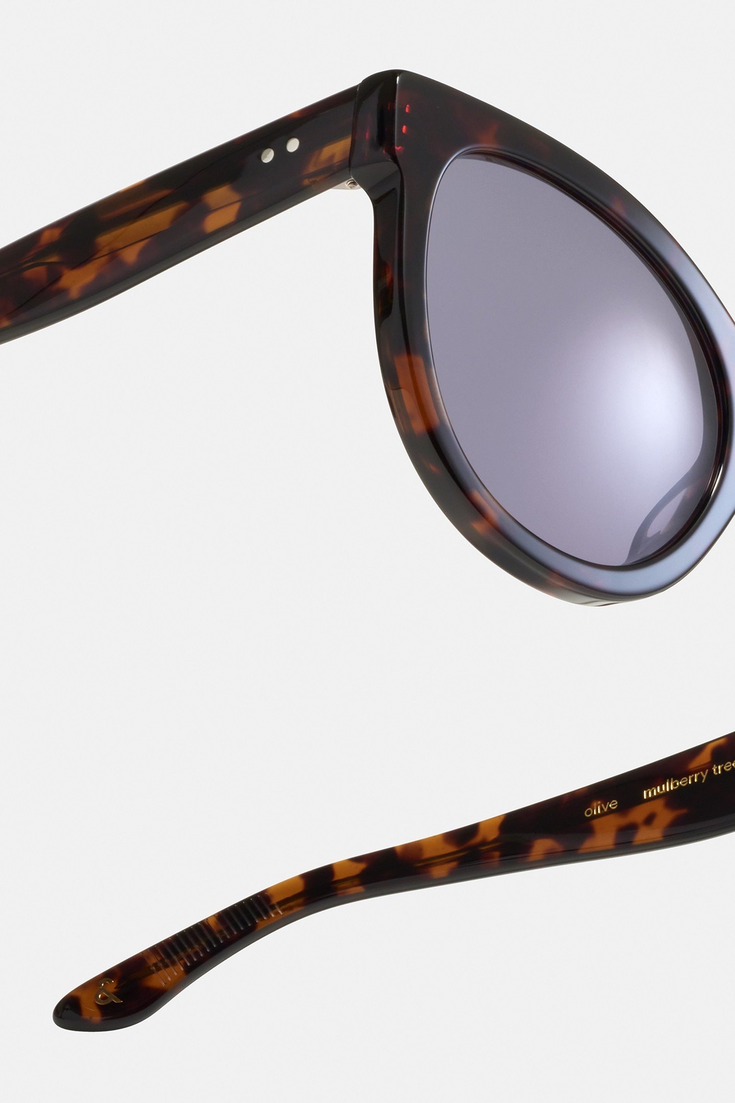 OLIVE-MULBERRY-TREE-SUN 4