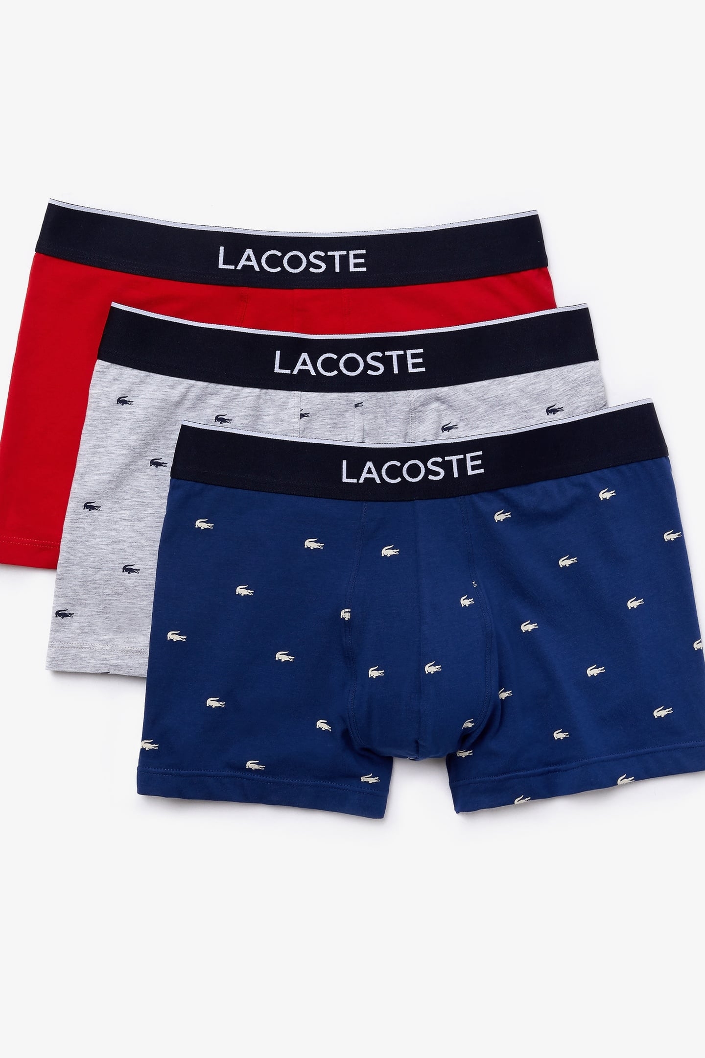 TRUNK MEN METHYLENE/SILVER CHINE 1