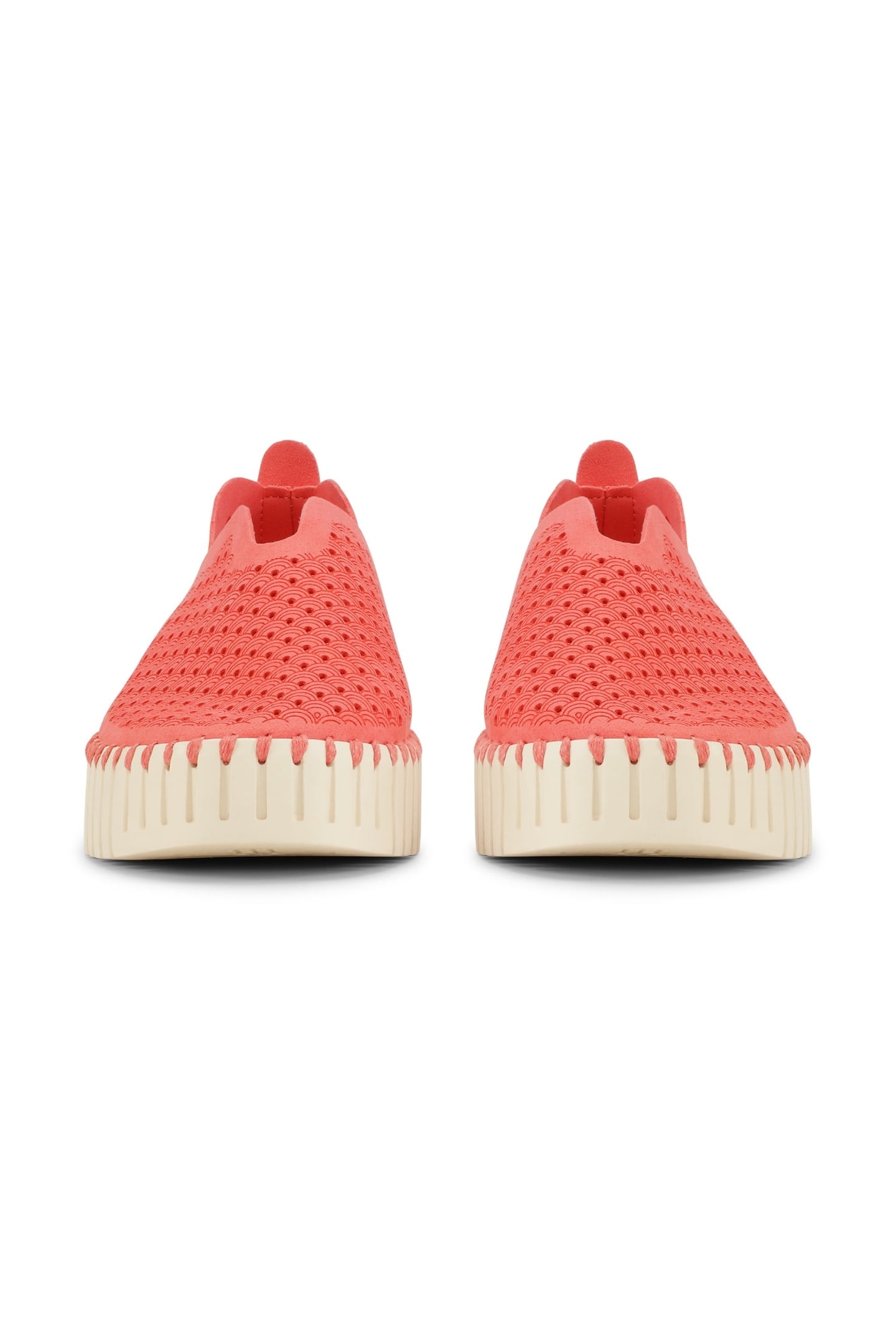 FLATS TULIP3373 RASPBERRY 4