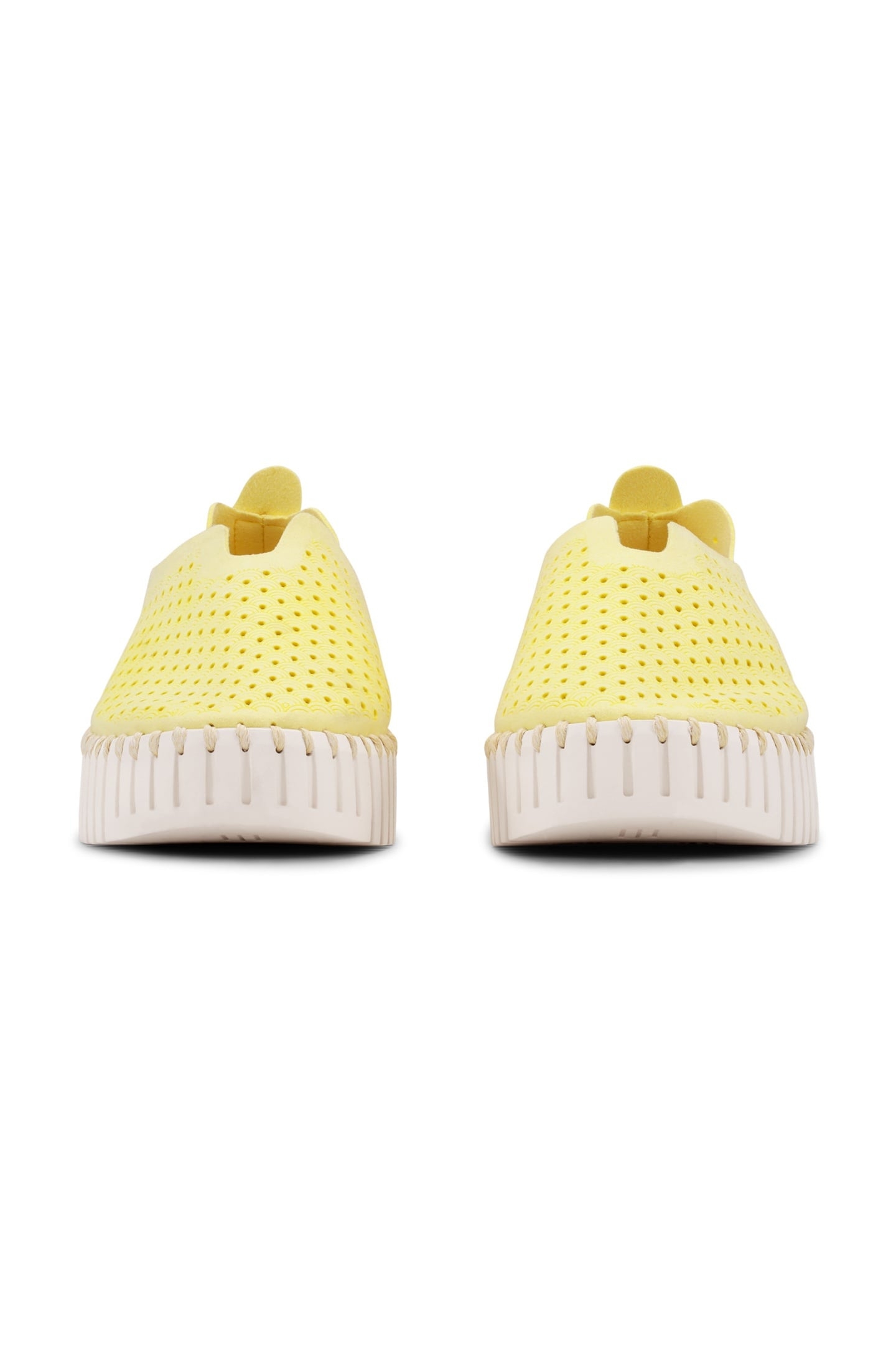 FLATS TULIP3373 LEMON DROP 6