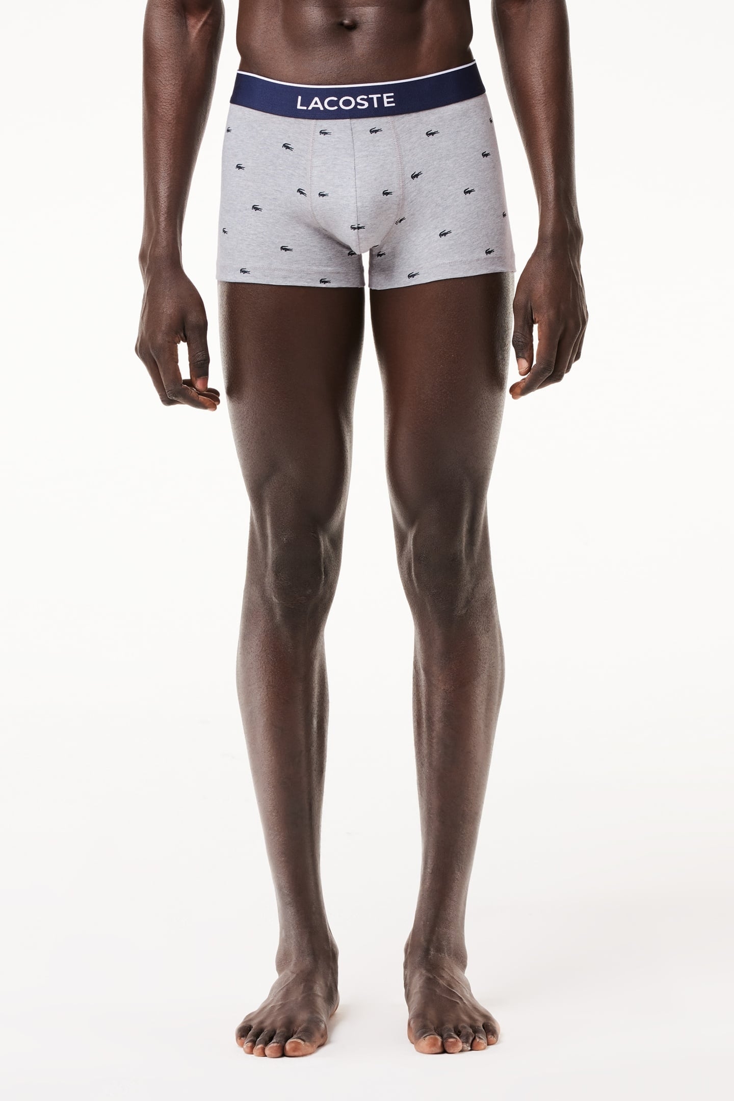 TRUNK MEN METHYLENE/SILVER CHINE 2