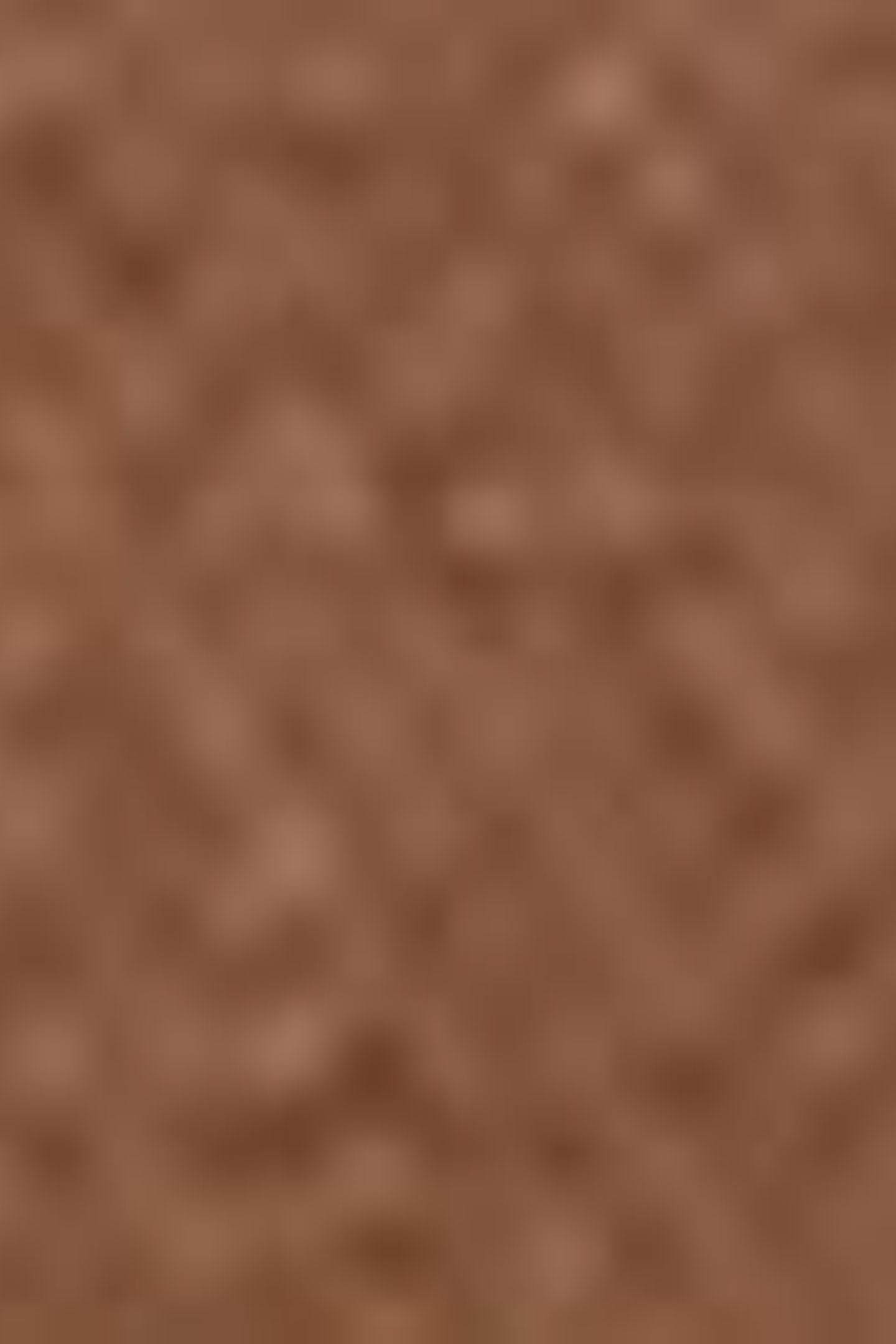 WESTERN SHORTHORN TRUCKER JACKET BROWN 5