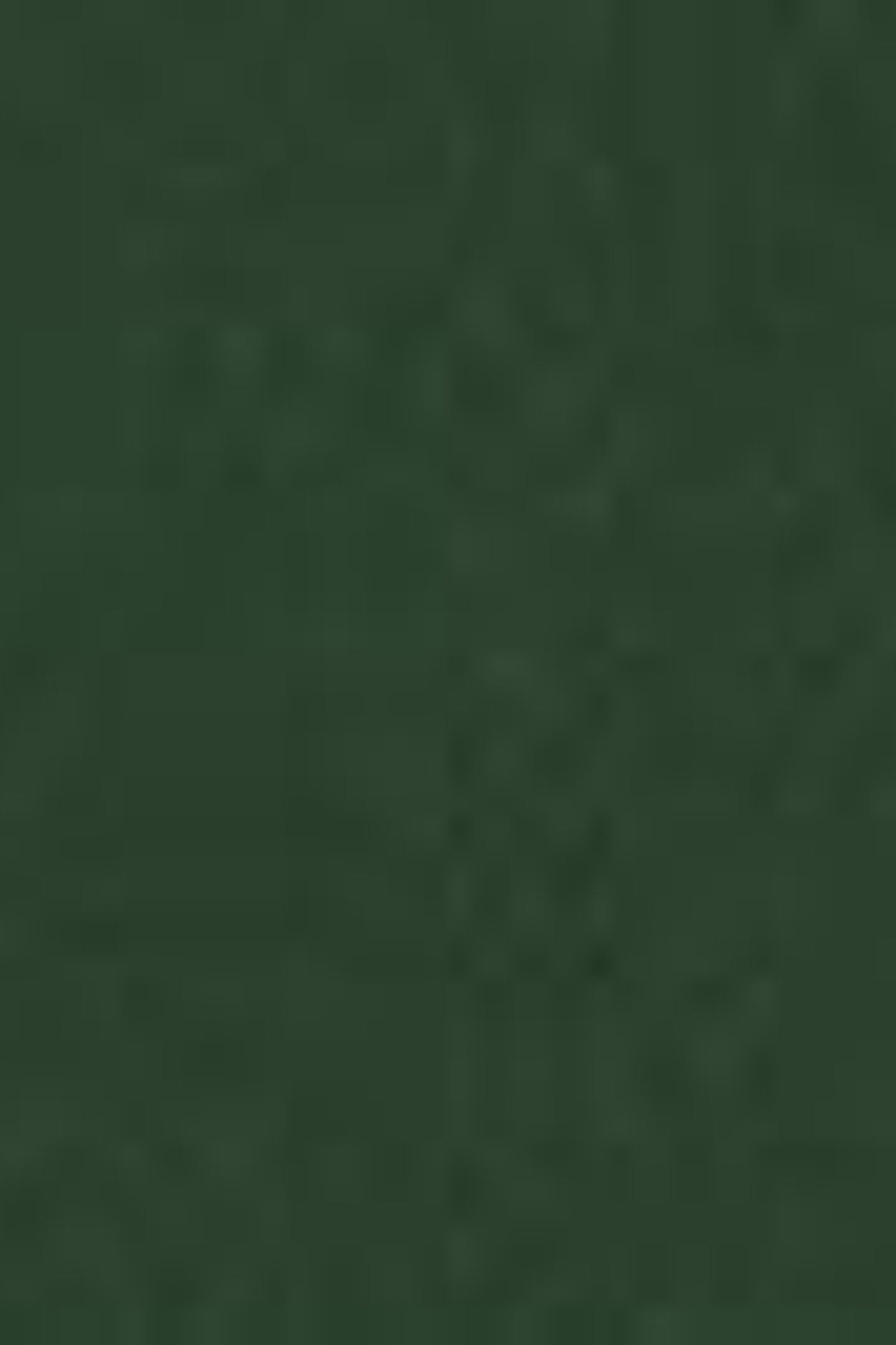 ELLORY DRESS GREEN 4