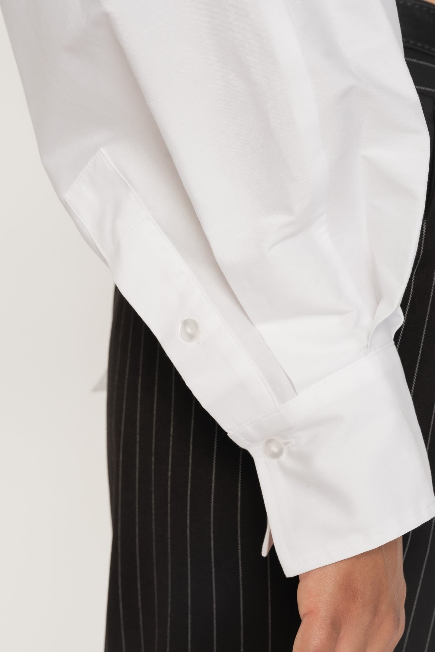 SHAULA COCONUT MILK 6